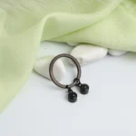 hidden picture double circle keychain