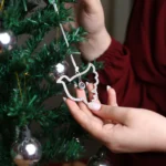 hidden picture dove ornament