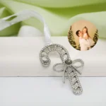 hidden picture candy cane ornament