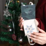 hidden picture snowflake ornament