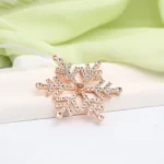 hidden picture snowflake ornament